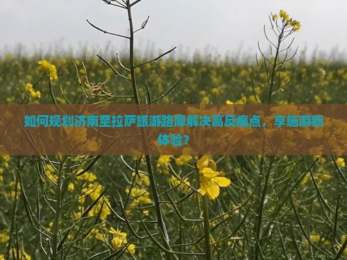 如何规划济南至拉萨旅游路犀解决高反痛点，享施游新体验？