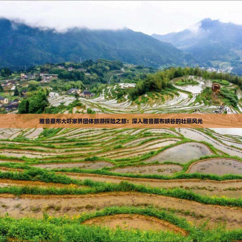 雅鲁藏布大吓家界团体旅游探险之旅：深入雅鲁藏布峡谷的壮丽风光
