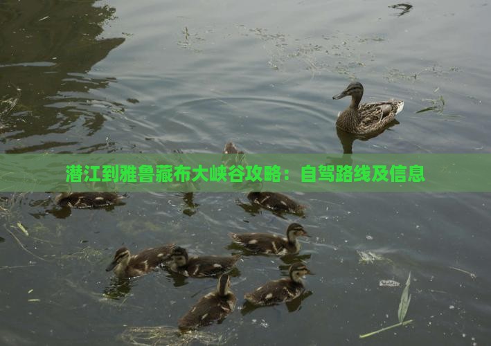 潜江到雅鲁藏布大峡谷攻略：自驾路线及信息