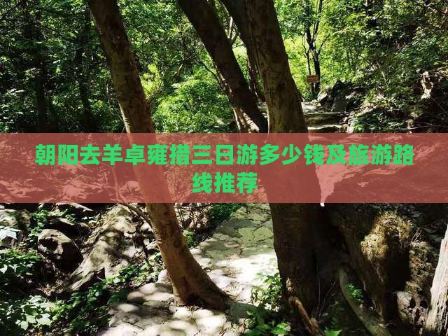 朝阳去羊卓雍措三日游多少钱及旅游路线推荐