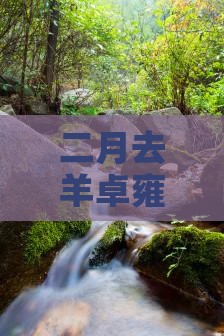 二月去羊卓雍措哪里玩及住宿推荐
