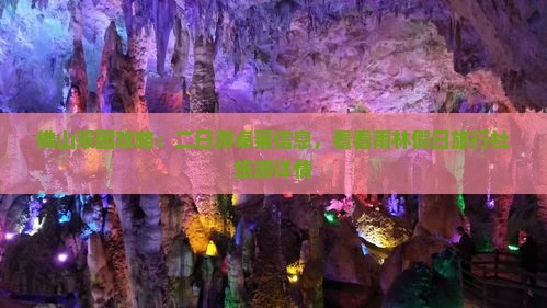 佛山报团攻略：二日游卓雍信息，看看雨林假日旅行社旅游详情