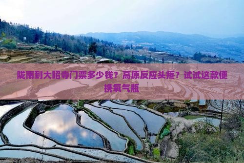 陇南到大昭寺门票多少钱？高原反应头疼？试试这款便携氧气瓶