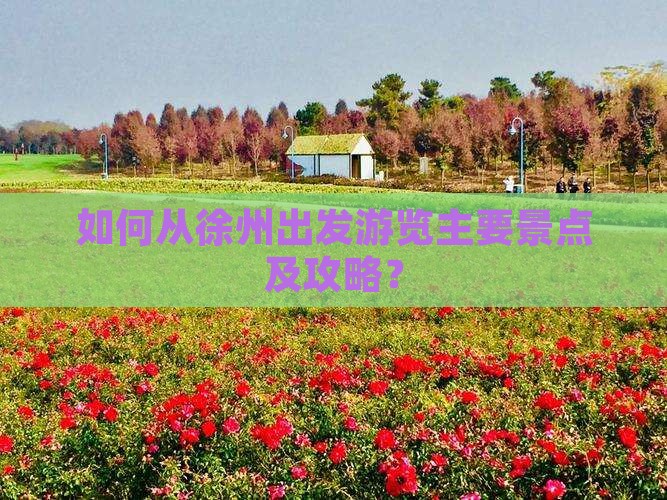 如何从徐州出发游览主要景点及攻略？