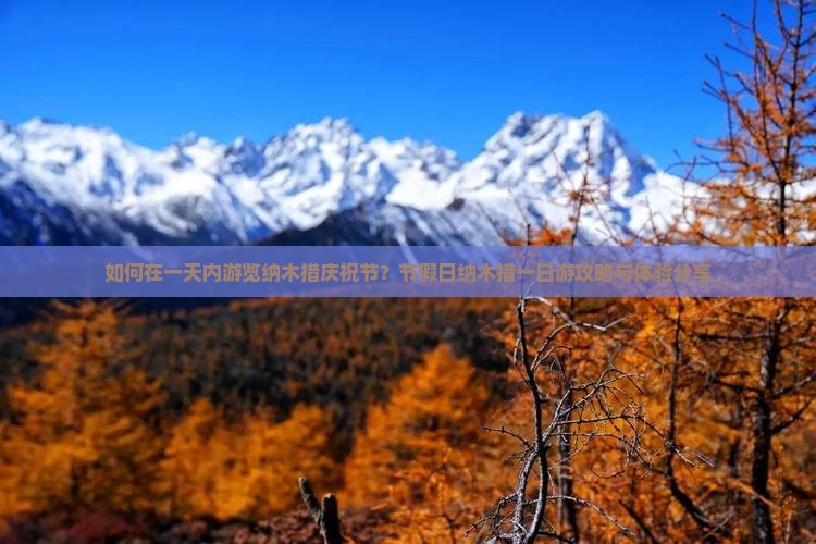 如何在一天内游览纳木措庆祝节？节假日纳木措一日游攻略与体验分享