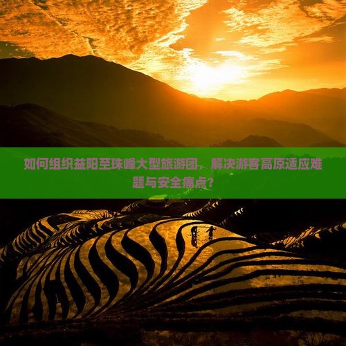 如何组织益阳至珠峰大型旅游团，解决游客高原适应难题与安全痛点？