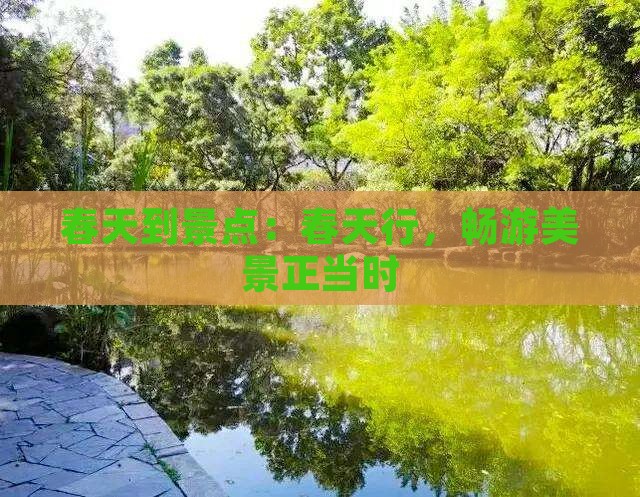 春天到景点:春天行,畅游美景正当时 春天到景点:春天行,畅游美景正当时