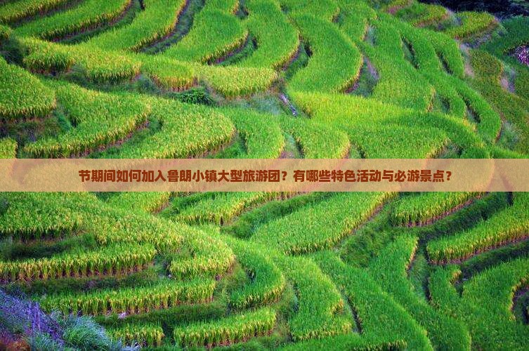 节期间如何加入鲁朗小镇大型旅游团？有哪些特色活动与必游景点？