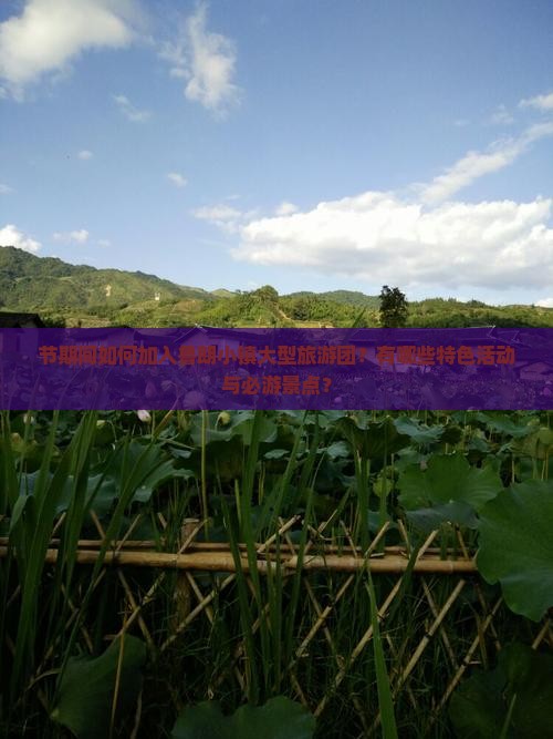节期间如何加入鲁朗小镇大型旅游团？有哪些特色活动与必游景点？