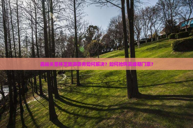 嘉峪关至林芝旅游票务如何解决？如何抢购高峰期门票？