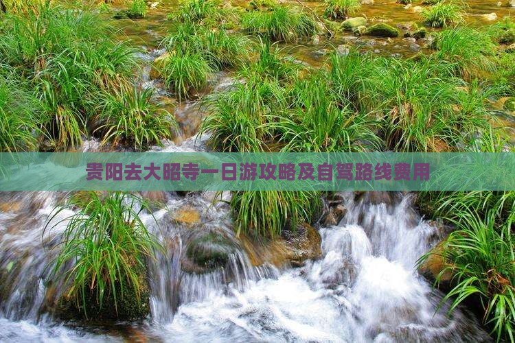 贵阳去大昭寺一日游攻略及自驾路线费用