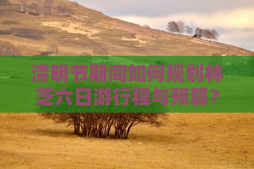 清明节期间如何规划林芝六日游行程与预算？
