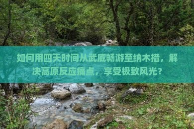 如何用四天时间从武威畅游至纳木措，解决高原反应痛点，享受极致风光？