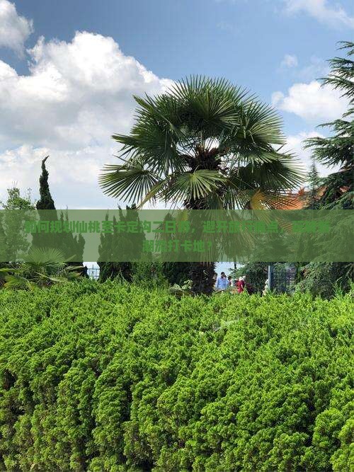如何规划仙桃至卡定沟二日游，避开旅行痛点，玩转新潮流打卡地？