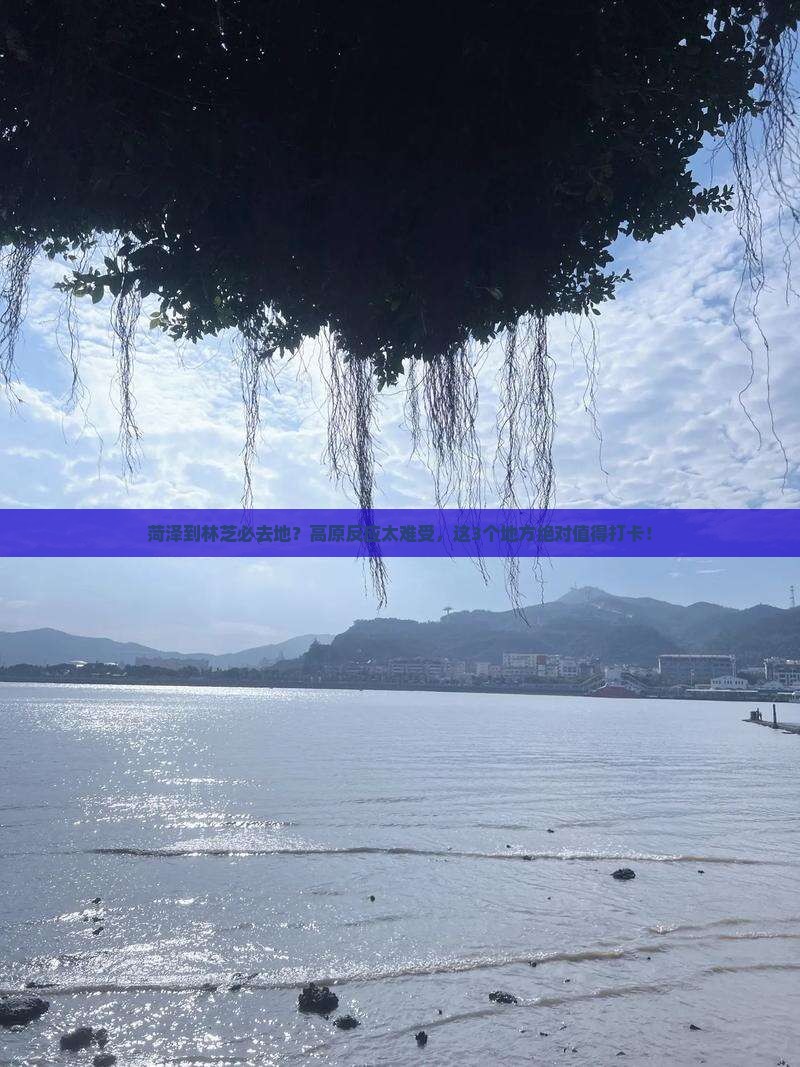 菏泽到林芝必去地？高原反应太难受，这3个地方绝对值得打卡！