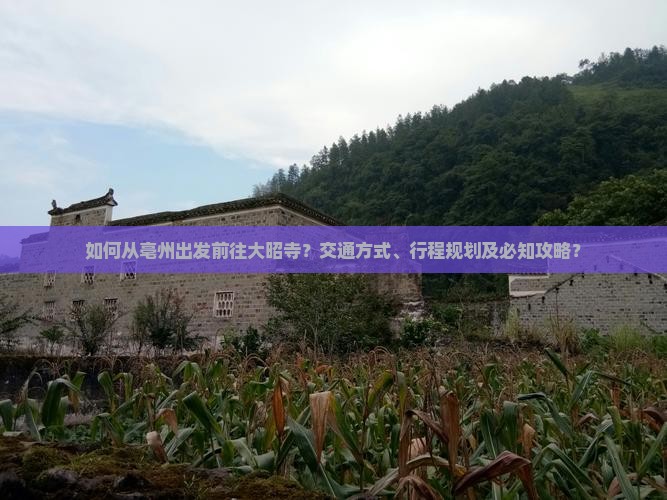如何从亳州出发前往大昭寺？交通方式、行程规划及必知攻略？