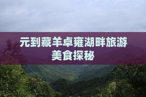 元到藏羊卓雍湖畔旅游美食探秘