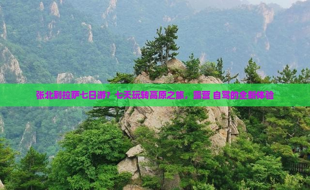 张北到拉萨七日游？七天玩转高原之旅，露营+自驾的全新体验