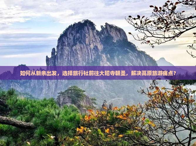 如何从新余出发，选择旅行社前往大昭寺朝圣，解决高原旅游痛点？