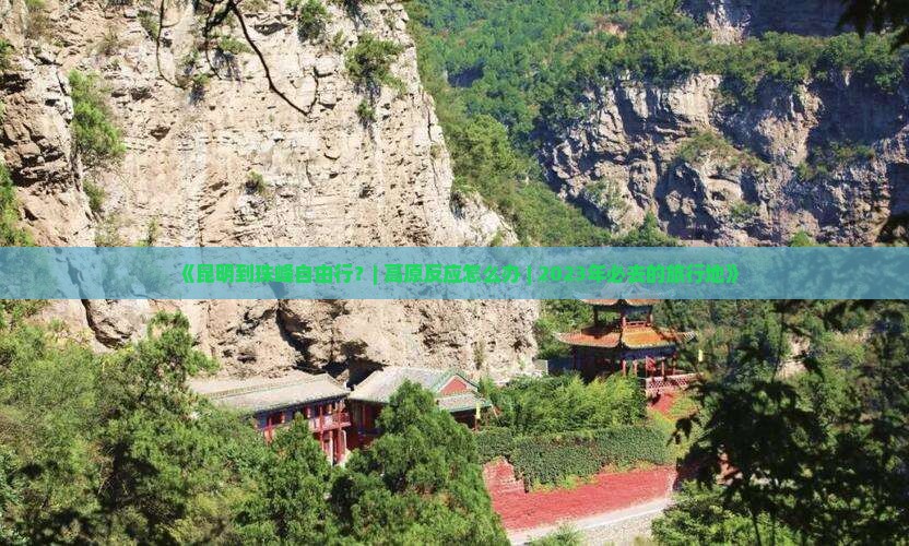 《昆明到珠峰自由行？| 高原反应怎么办 | 2023年必去的旅行地》