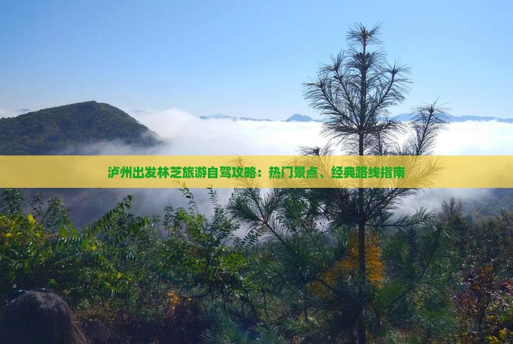 泸州出发林芝旅游自驾攻略：热门景点、经典路线指南