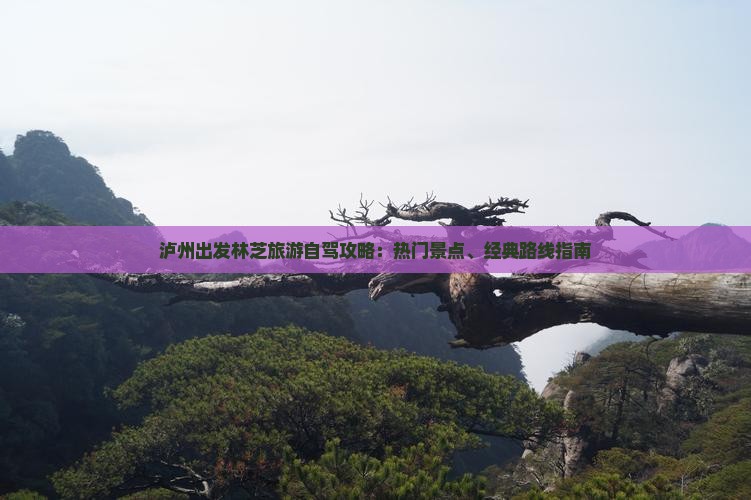 泸州出发林芝旅游自驾攻略：热门景点、经典路线指南