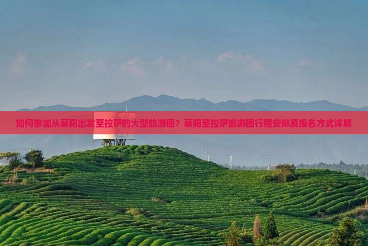 如何参加从襄阳出发至拉萨的大型旅游团？襄阳至拉萨旅游团行程安排及报名方式详解