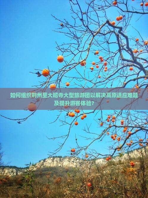 如何组织荆州至大昭寺大型旅游团以解决高原适应难题及提升游客体验？