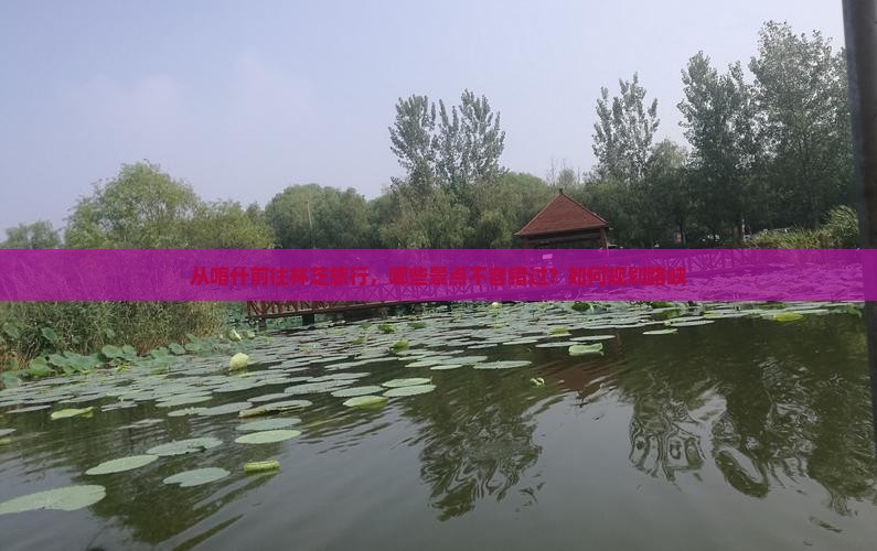 从喀什前往林芝旅行，哪些景点不容错过？如何规划路峡