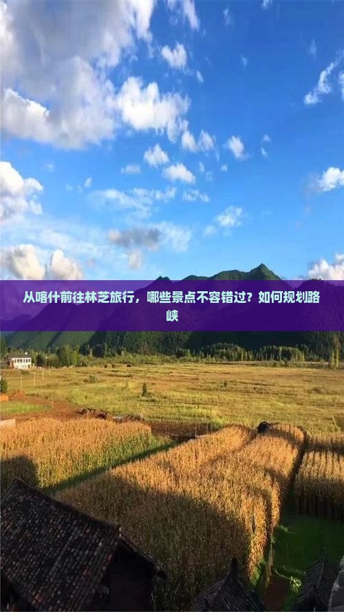 从喀什前往林芝旅行，哪些景点不容错过？如何规划路峡