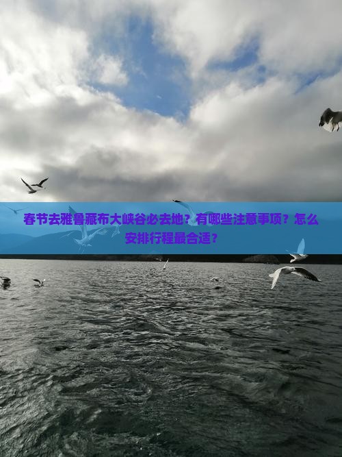 春节去雅鲁藏布大峡谷必去地？有哪些注意事项？怎么安排行程最合适？