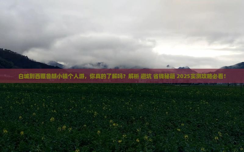 白城到西藏鲁朗小镇个人游