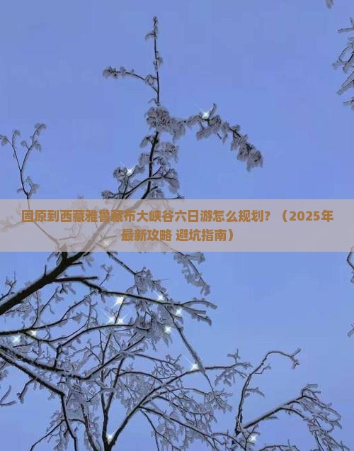 固原去西藏雅鲁藏布大峡谷六日游