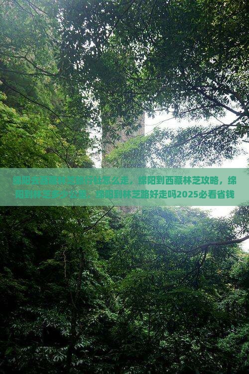 绵阳去西藏林芝旅行社
