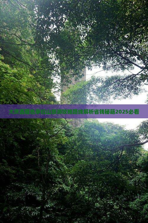 大庆去西藏色季拉山个人游