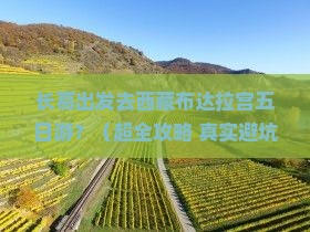 长葛到西藏布达拉宫五日游