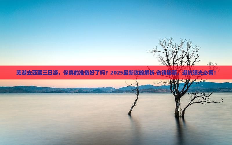 芜湖去西藏三日游