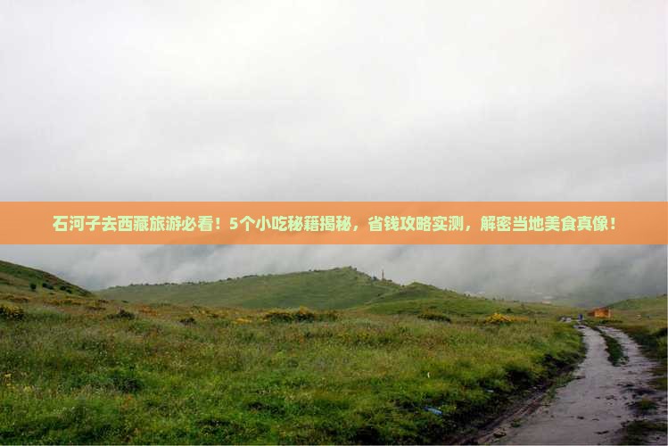 石河子去西藏旅游小吃