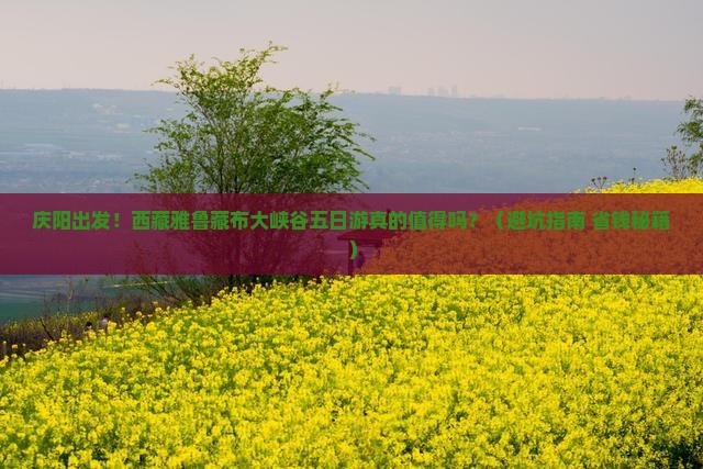 庆阳去西藏雅鲁藏布大峡谷五日游