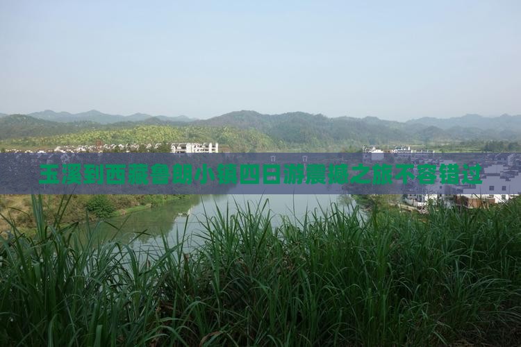 玉溪到西藏鲁朗小镇四日游