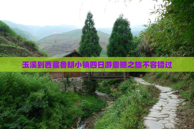 玉溪到西藏鲁朗小镇四日游