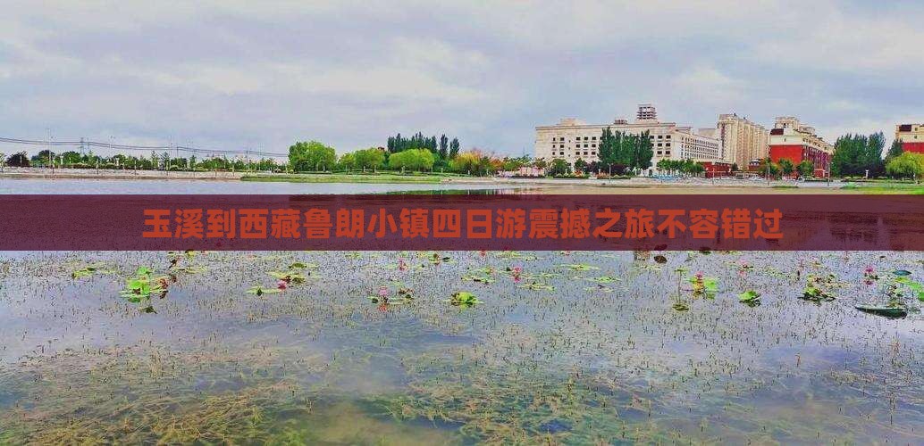 玉溪到西藏鲁朗小镇四日游