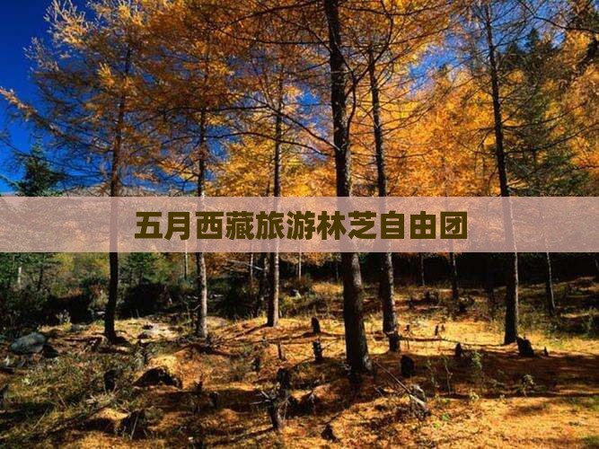 五月到西藏林芝自由团