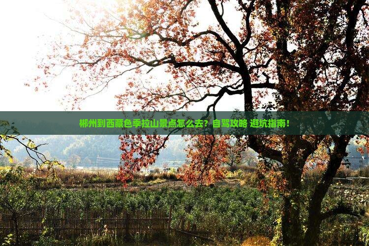 郴州到西藏色季拉山景点