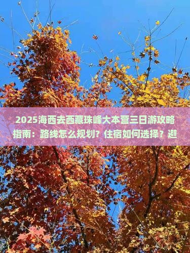 海西去西藏珠峰大本营三日游