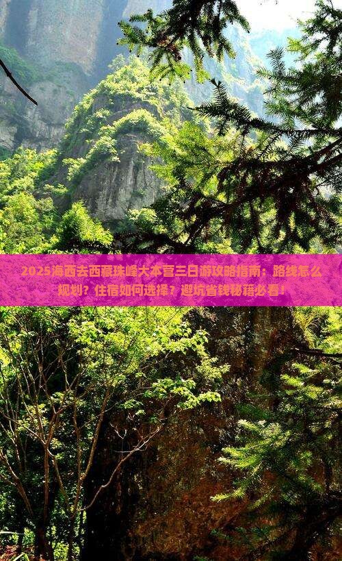 海西去西藏珠峰大本营三日游