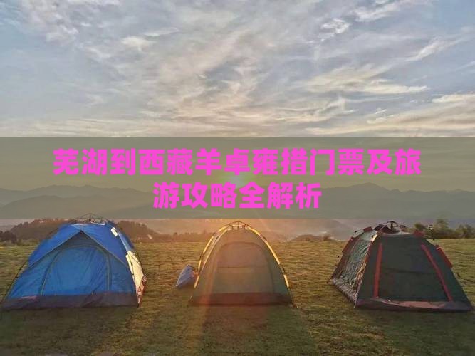 芜湖到西藏羊卓雍措门票