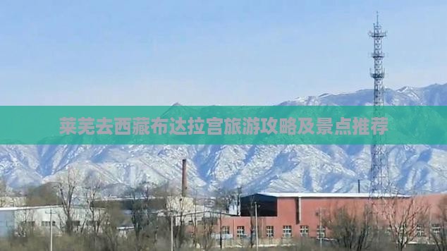 莱芜去西藏布达拉宫景点