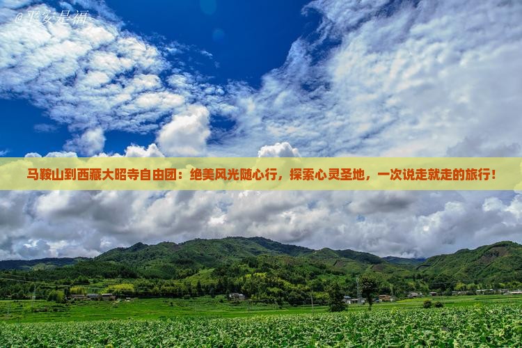 马鞍山到西藏大昭寺自由团