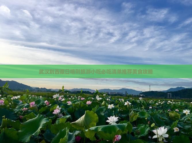 武汉到西藏日喀则旅游小吃